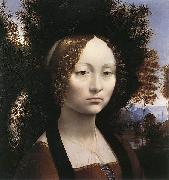 Portrait of Ginevra de' Benci Leonardo  Da Vinci